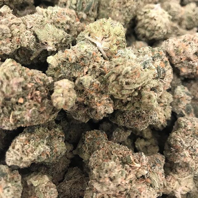 Alaska Weeds of Anchorage Website