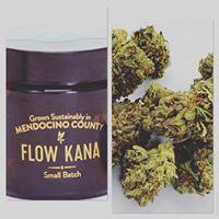 Ruby’s Green Garden (RGG LLC) Website