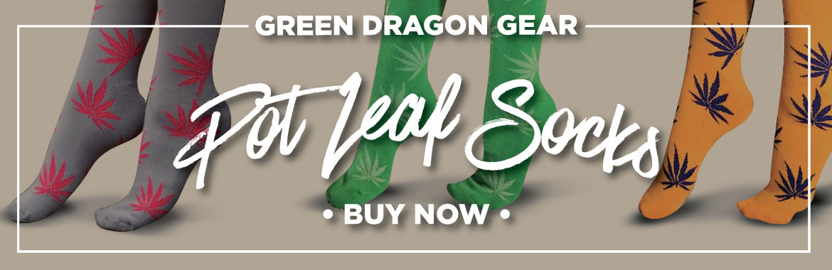 Green Dragon Thornton Website