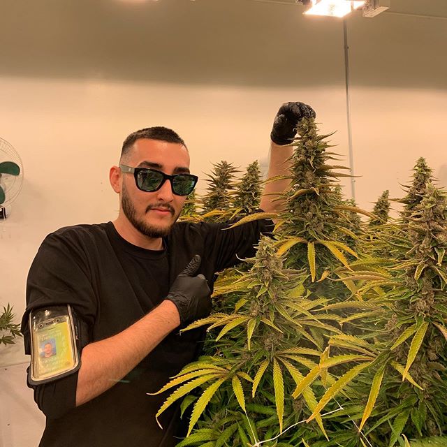 Three Rivers Dispensary Pueblo West Website