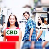 Region CBD+ Website