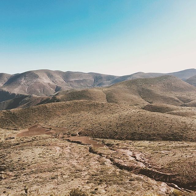 Flavors Detroit Website