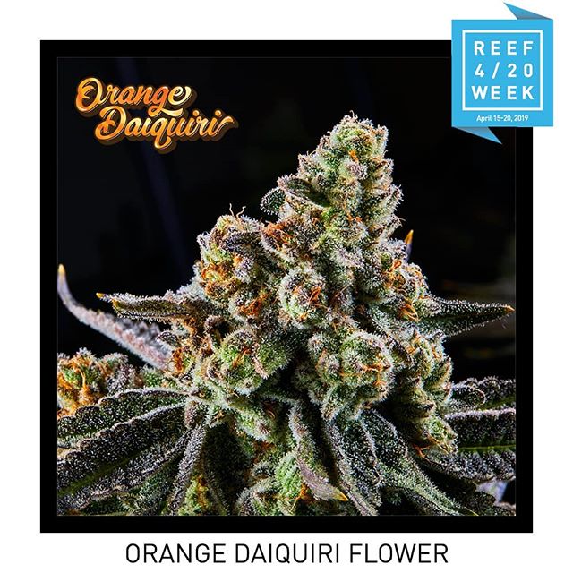 Reef Dispensaries - Queen Creek, AZ Website