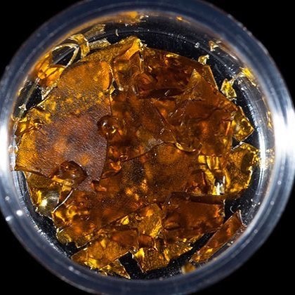 MMJDoctorOnline.com - Hayward Website