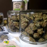 Pioneer Nuggets Website