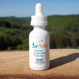 Hailey’s Hemp Co Website