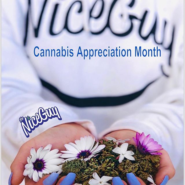 Mr. Nice Guy - State St. Website