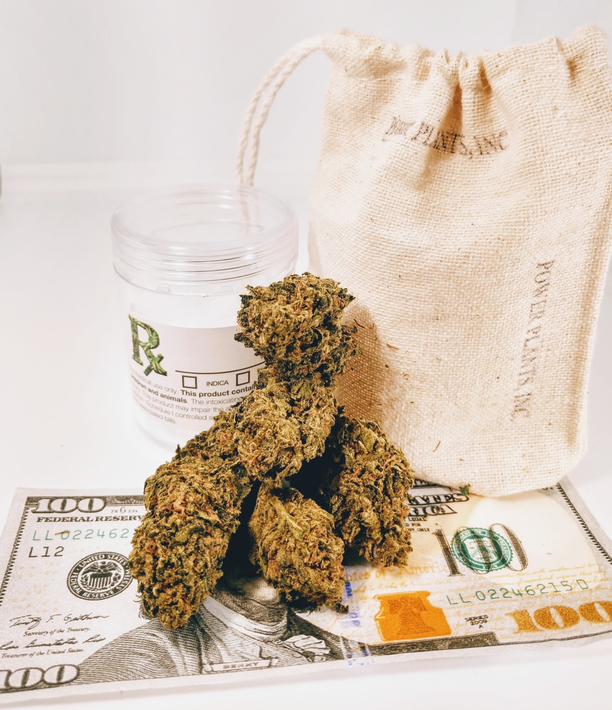 Power Plants Inc Website