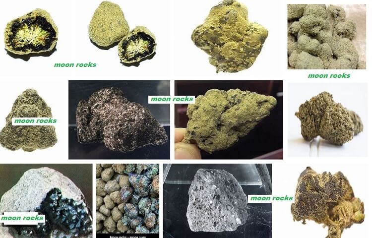 420EvaluationsOnline - South Gate Website