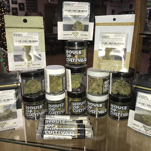 Kush21 - Pullman Website