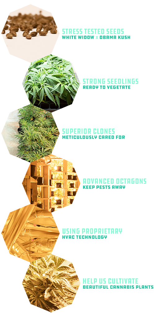 Creswell Oreganics Website