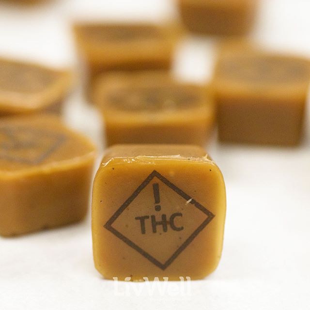 LivWell - Springfield Website