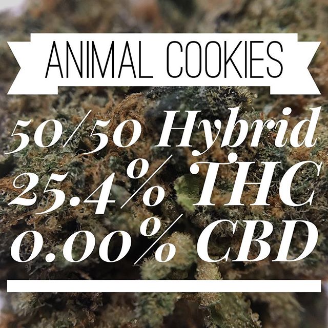 Brothers Cannabis Website