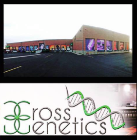 Cross Genetics - Evans Ave. Website