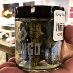 Shango Win Sivers "Airport" Website