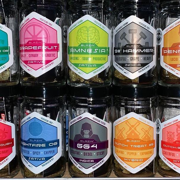 Kush21 - Pullman Website