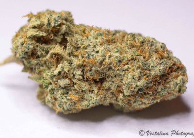 Twenty After Four Wellness Center Website