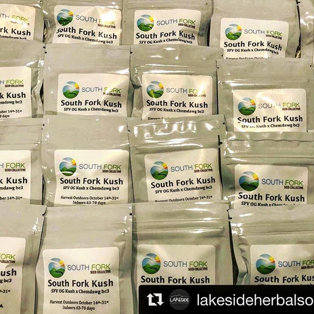 Lakeside Herbal Solution Website
