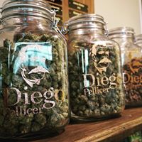 Diego Pellicer - South Denver Website