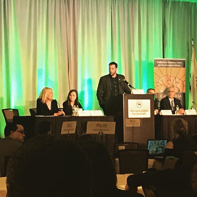 Dixon Wellness Website