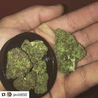 Coughy Shoppe Collective - Hayward Website