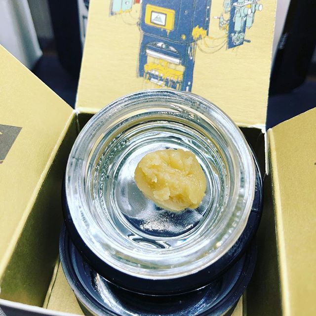 Elevated Longmont Website