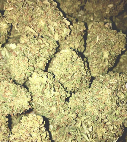 Grateful Meds - Springfield Website