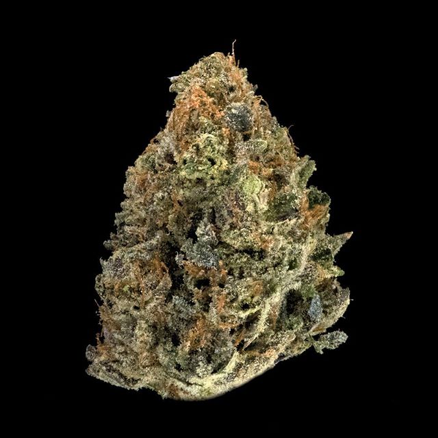 The Reef - Seattle Website