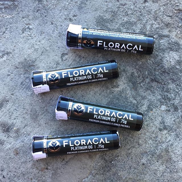 Purple Lotus Patient Center Website