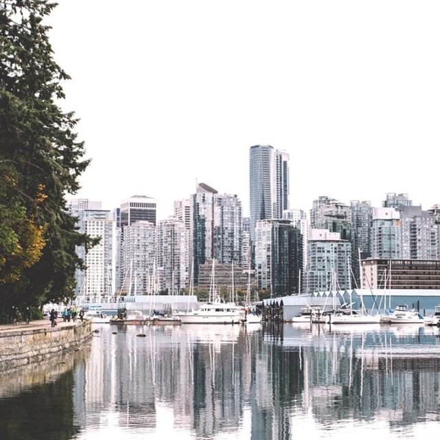 Cannabis City - Seattle Website