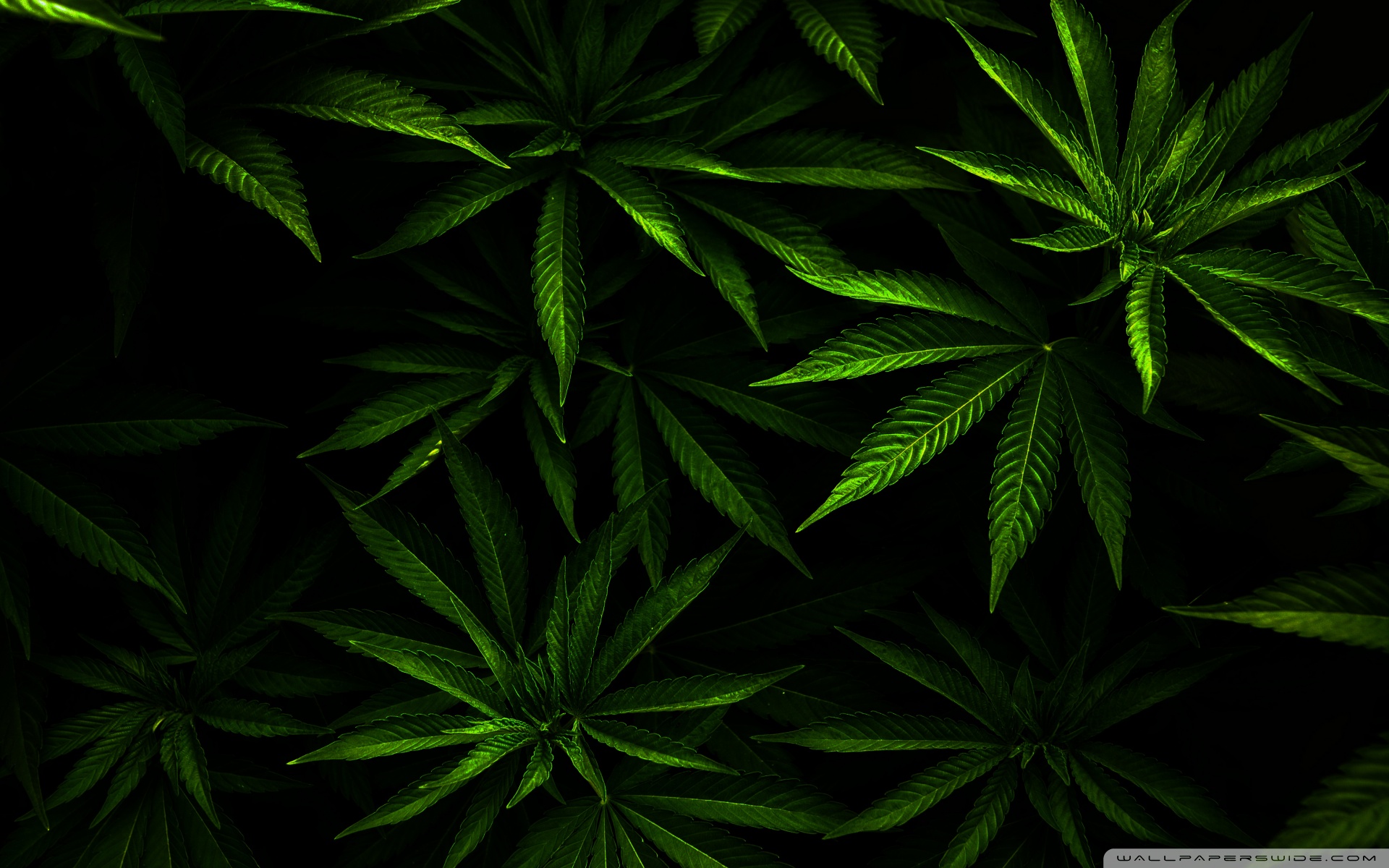 Margie's Pot Shop - Bingen, Hood River Website