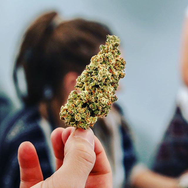 Cinder - Spokane Valley Website