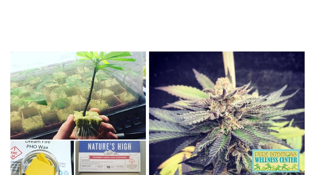 Pure Intentions Wellness Center Website