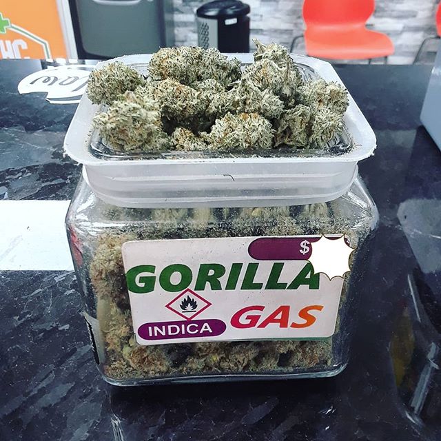 THC - Detroit Website