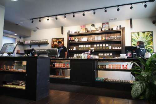 Altitude East Denver Website