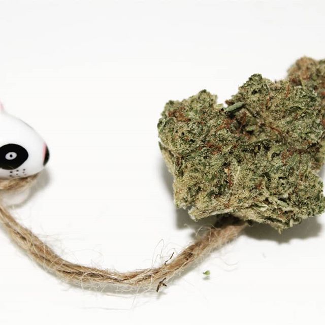 The Agrestic North Website