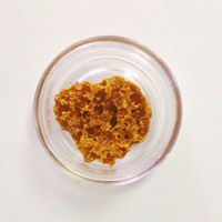 Tree House Collective Website