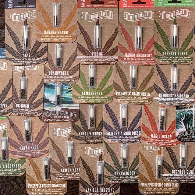 Lakeside Herbal Solution Website