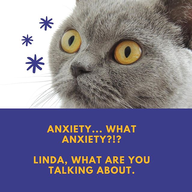 Dixon Wellness Website