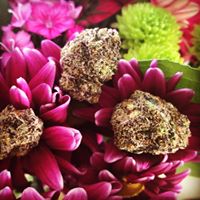 Diego Pellicer - South Denver Website