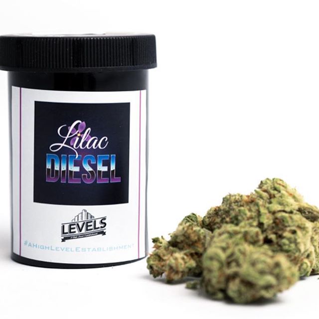 Levels - Denver Website