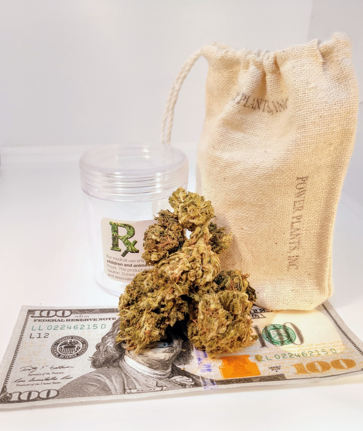 Power Plants Inc Website