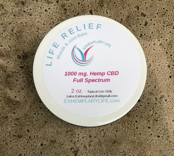 Exhemplary Life Website