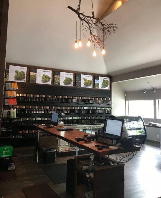 Nectar - Hillsdale Website