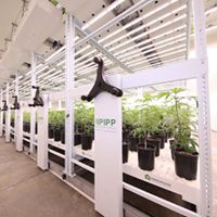 Greenhaus Industries Website