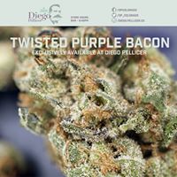 Diego Pellicer - South Denver Website