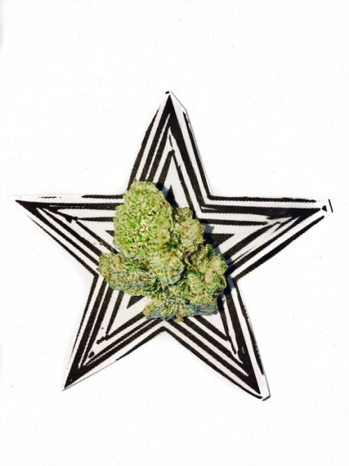 One Love Delivery Website