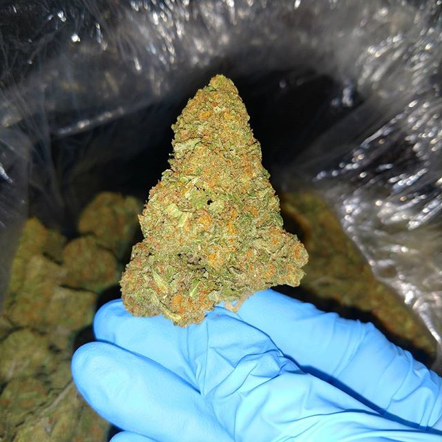 The Sequoyah Group, LLC Website