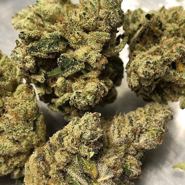 Mynt - North Reno Website