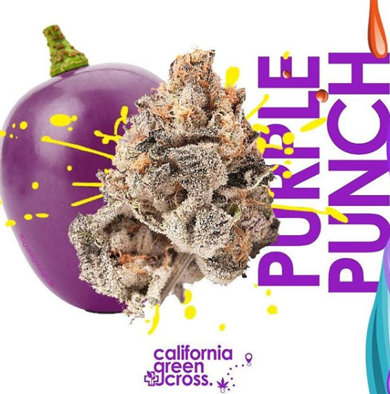 California Green Cross Website